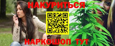 гидропоника Будённовск